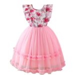 Niren Enterprise Pink Ocean Net Flair Baby Frock for Kids Girl