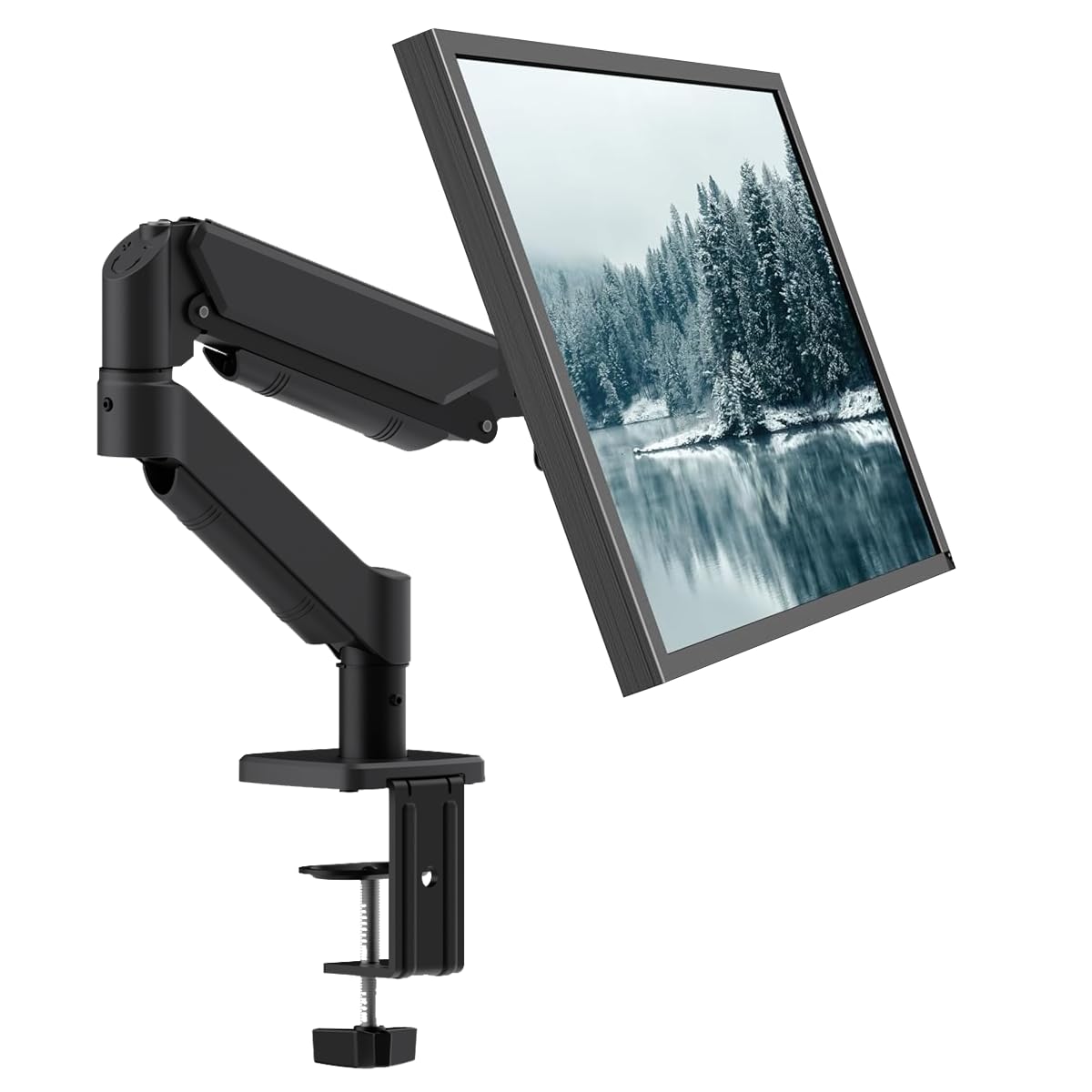 BigPassport Monitor Arm Stand with Gas Spring for 13-32 Inch Screen Size, Heavy Duty Computer Monitor Arm Stand to Hold 2-9kg
