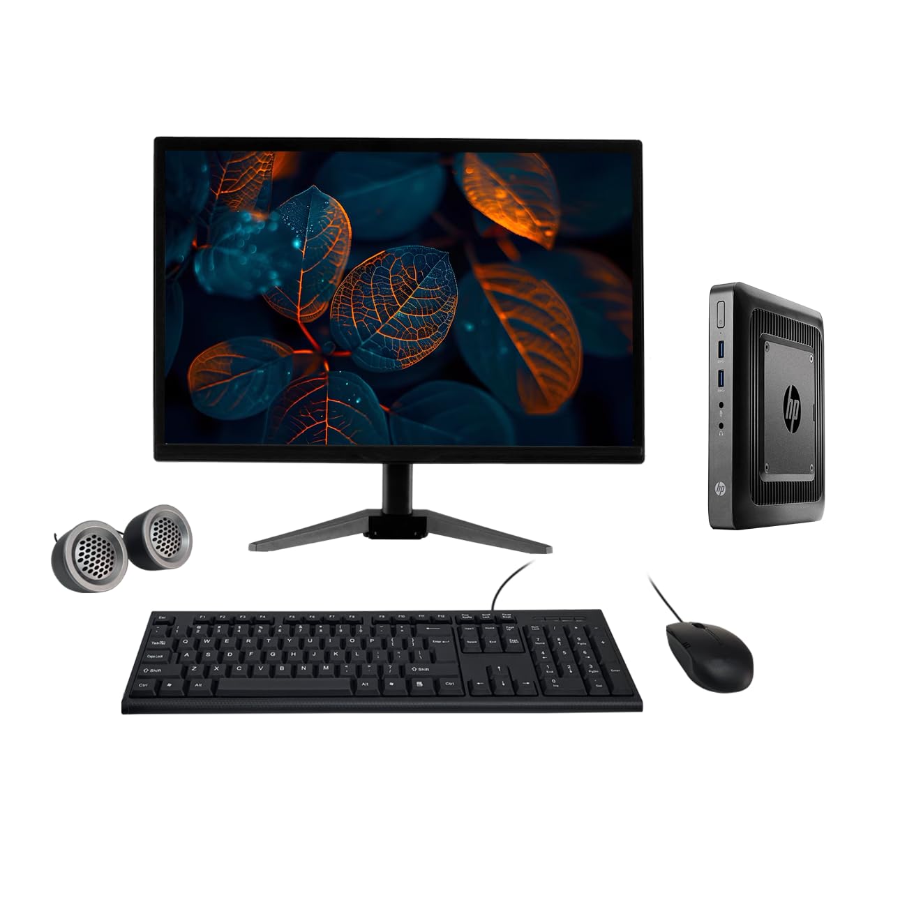 (Refurbished) HP T520 19" HD All-in-One Desktop Computer Set (AMD GX 212JC| 8 GB RAM| 256 GB SSD| 19" HD LED Monitor| KB & Mouse| Speakers| WiFi| Windows 10 Pro| MS Office)