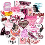 29pcs Girlie Aesthetic Merch Sticker Pack from animo india Perfect for Laptop Computer Car Water Bottle Travel Case Guitar Luggage Motorbikes(Hd Colors, Non Residue Removal)…