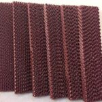 desert cooler for home