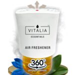 desert cooler for home