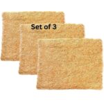 desert cooler for home