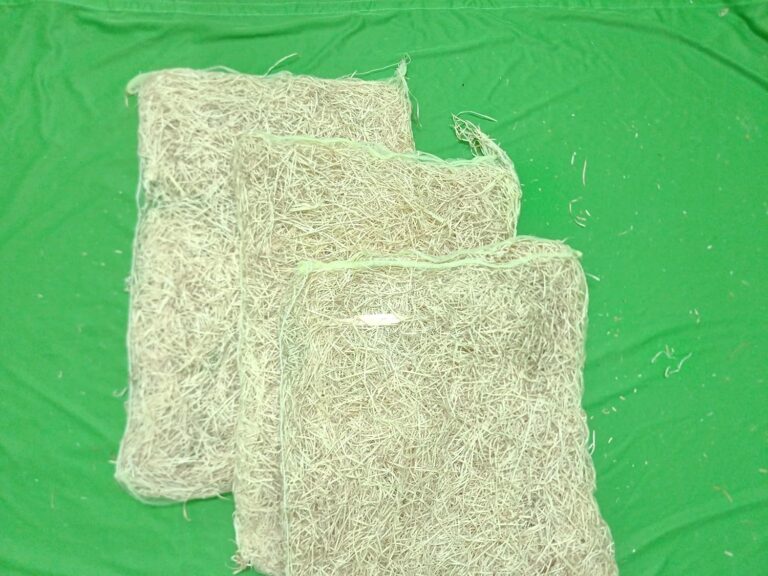 desert cooler for home