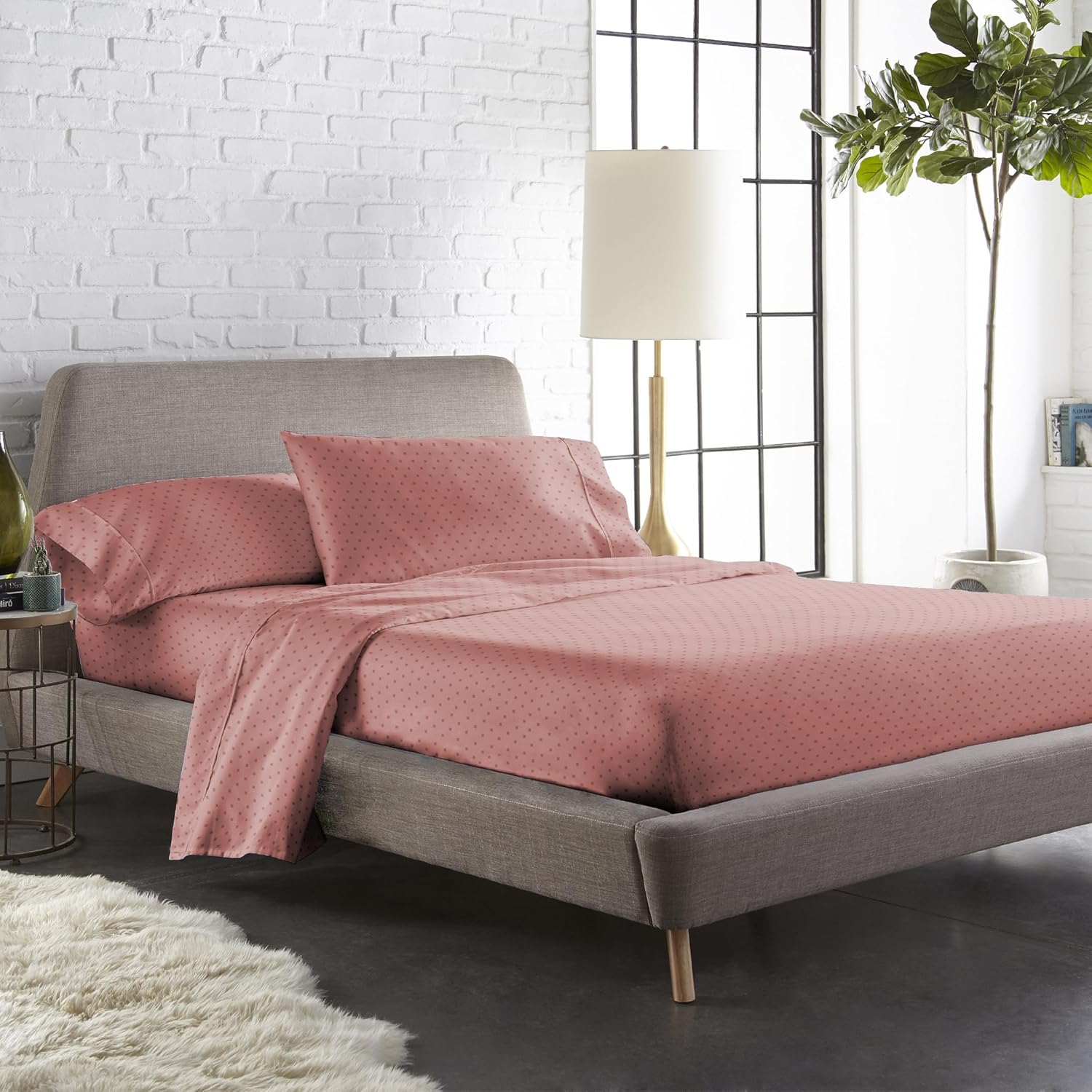 desert cooler for home