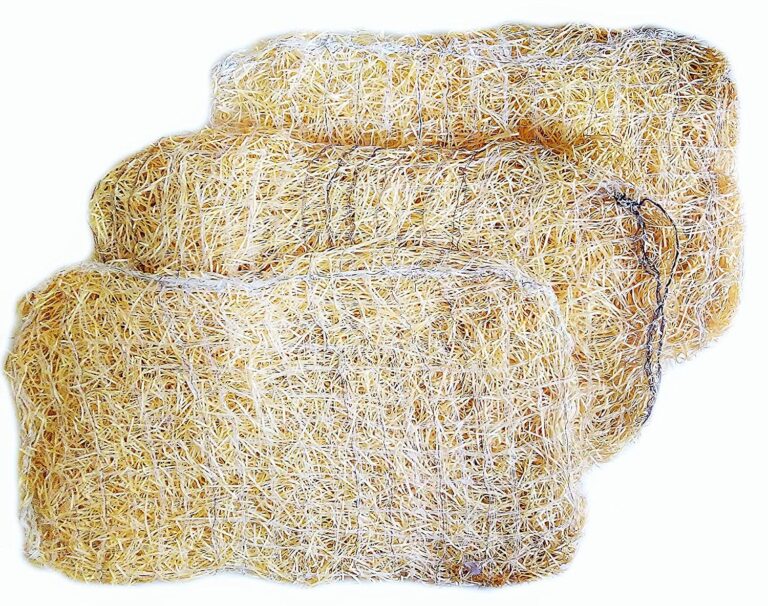 desert cooler for home