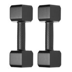 desert cooler for home