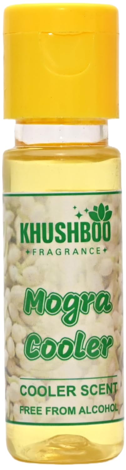 desert cooler for home