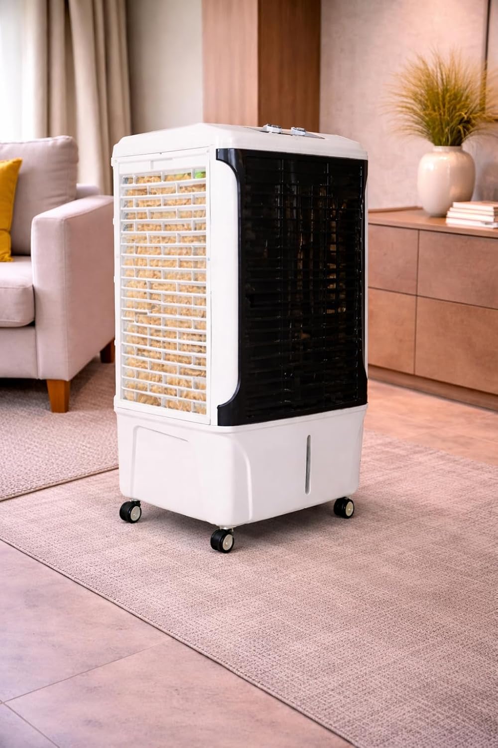 desert cooler for home