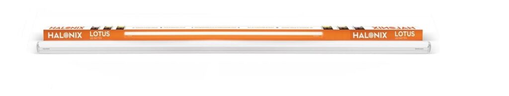 desert cooler for home