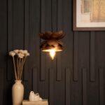 desert cooler for home