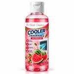 desert cooler for home